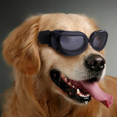 Doggles Logo